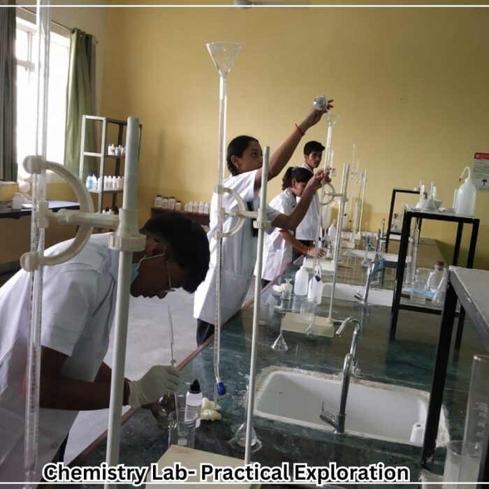 Chemistry Lab- Practical Exploration 