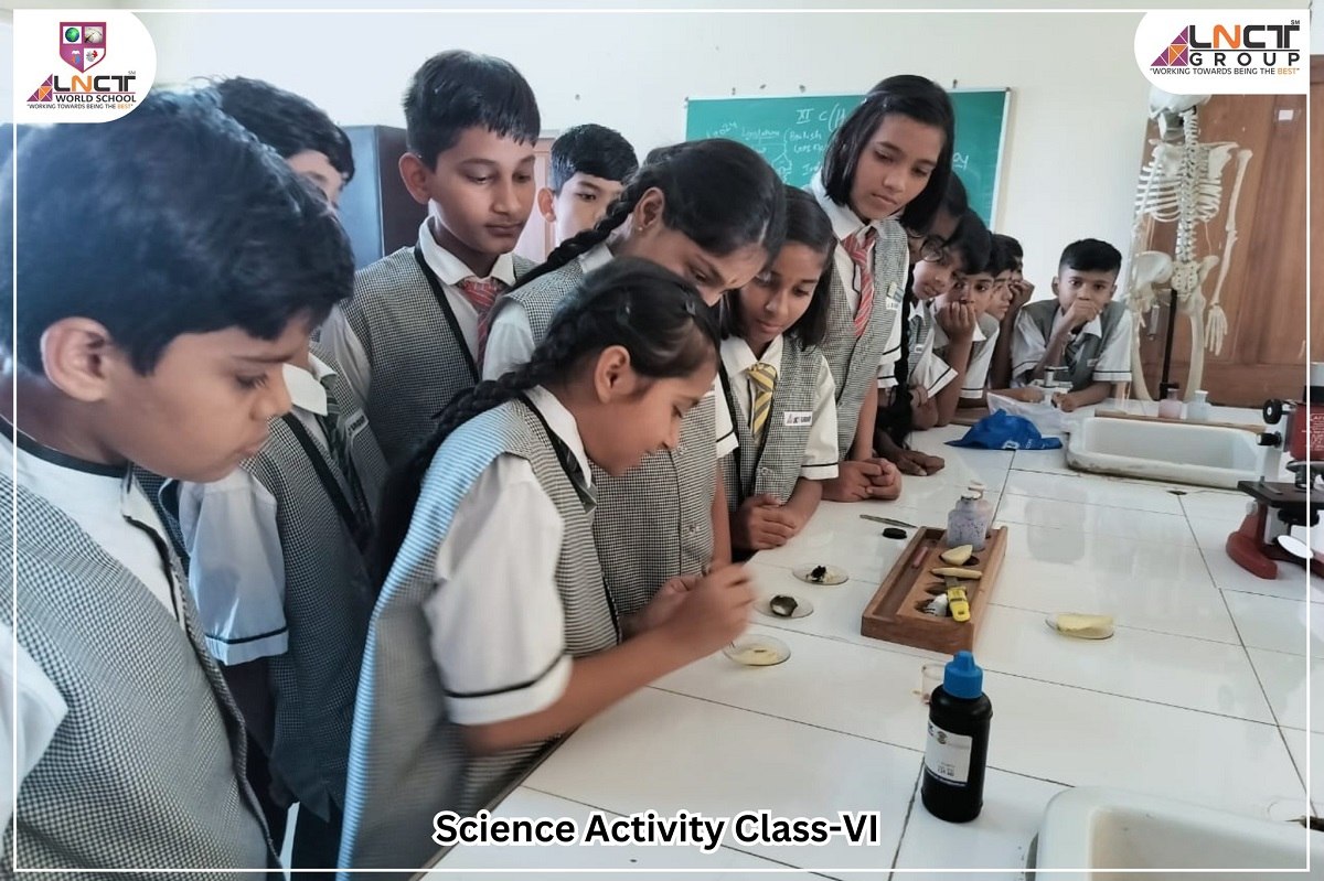 Science Activity:  Testing of Starch in Food Material: Class-VI